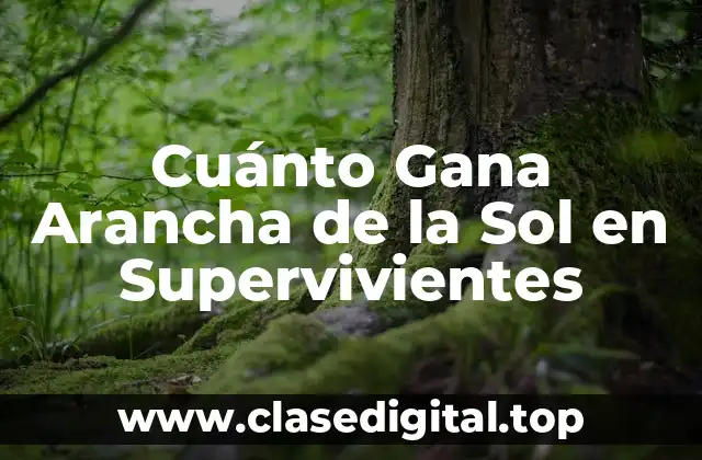 Cuánto Gana Arancha de la Sol en Supervivientes