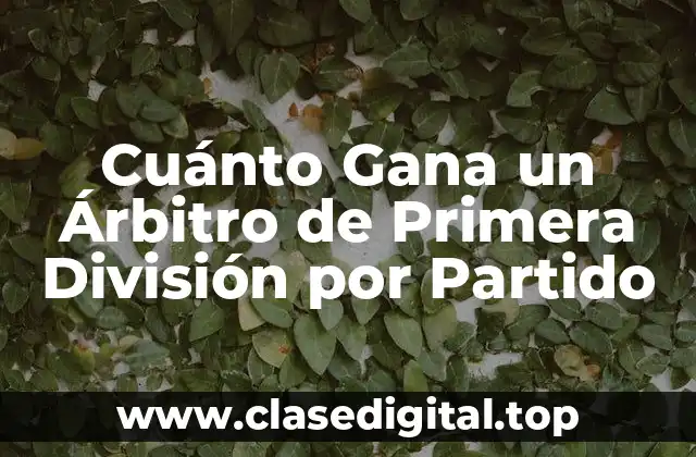 Cuánto Gana un Árbitro de Primera División por Partido
