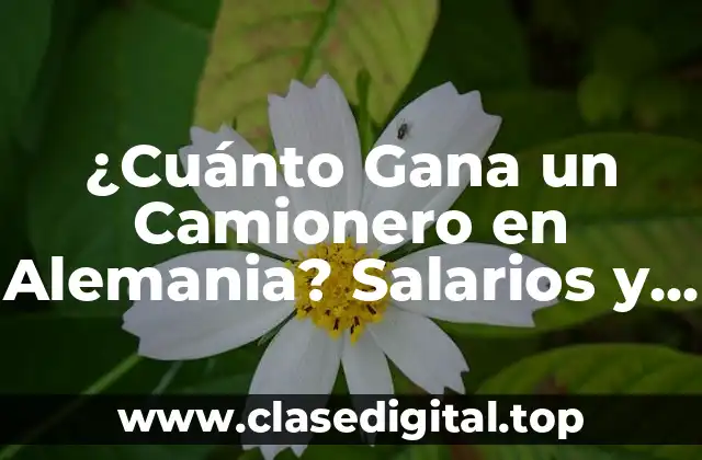¿Cuál es el Salario Promedio de un Camionero en Alemania?
