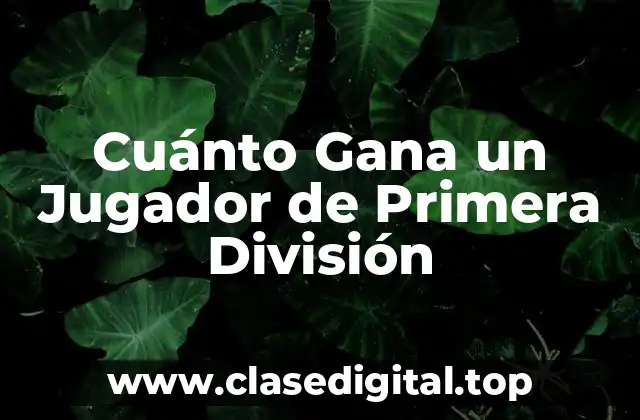 Cuánto Gana un Jugador de Primera División