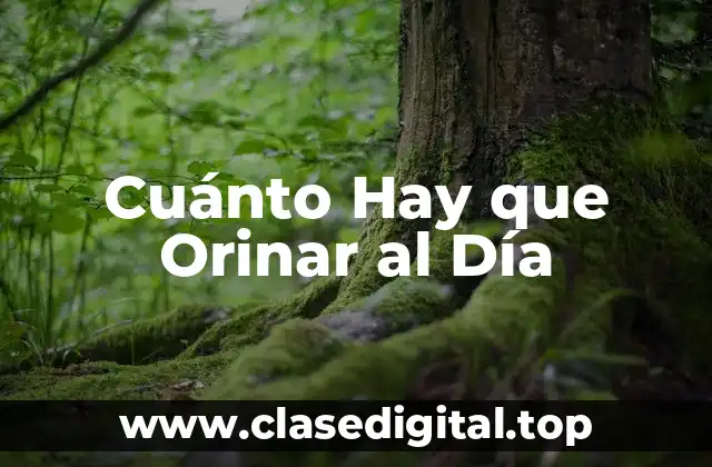 Cuánto Hay que Orinar al Día