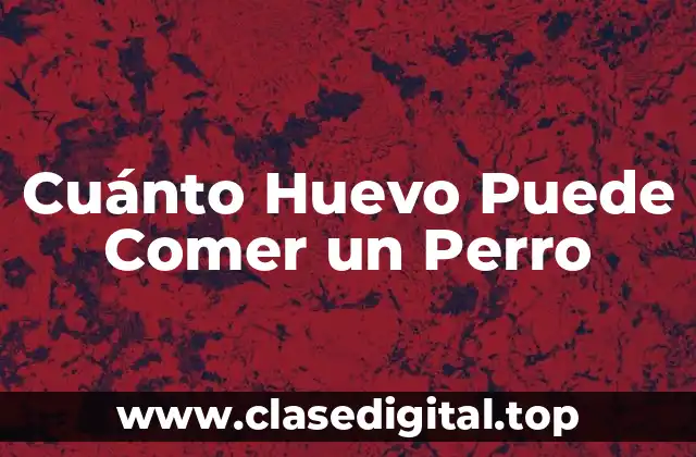 Cuánto Huevo Puede Comer un Perro