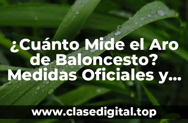 ¿Cuánto Mide el Aro de Baloncesto? Medidas Oficiales y Detalles