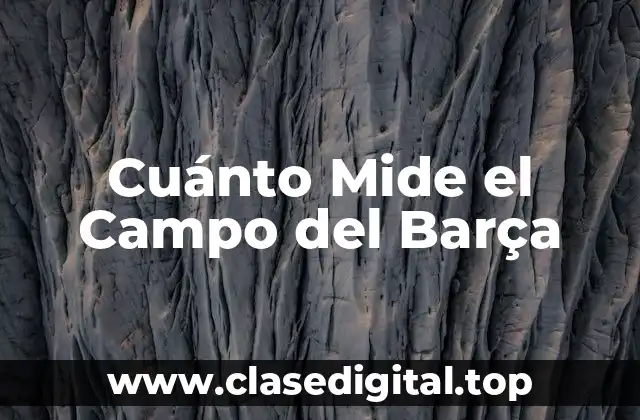 Cuánto Mide el Campo del Barça