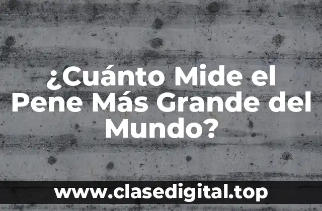 ¿Cuánto Mide el Pene Más Grande del Mundo?