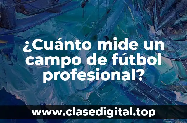 Dimensiones oficiales de un campo de fútbol profesional
