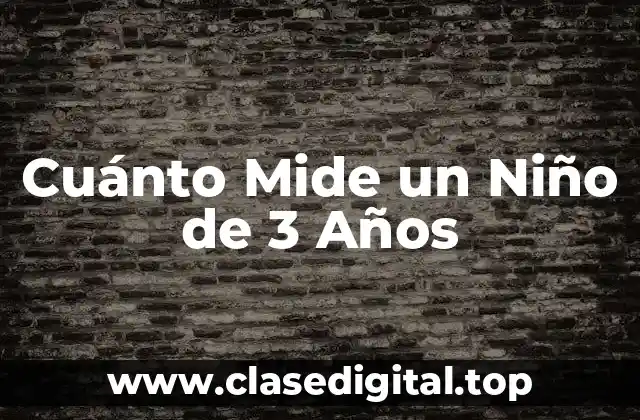Cuánto Mide un Niño de 3 Años