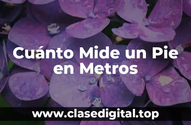 Cuánto Mide un Pie en Metros