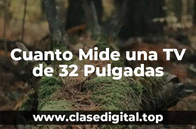 ¿Cuál es el Tamaño Ideal para una Habitación?