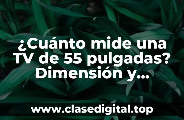¿Cuánto mide una TV de 55 pulgadas? Dimensión y características de las pantallas de TV