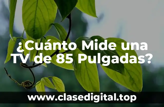 ¿Cuánto Mide una TV de 85 Pulgadas?