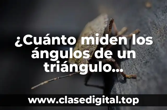 ¿Cuánto miden los ángulos de un triángulo equilátero? Análisis detallado y completo