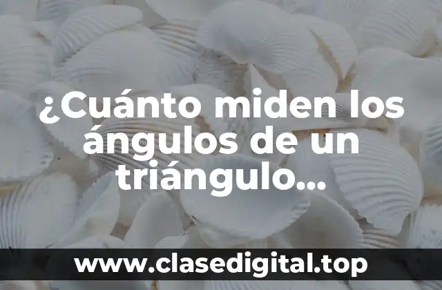 ¿Cuánto miden los ángulos de un triángulo rectángulo?