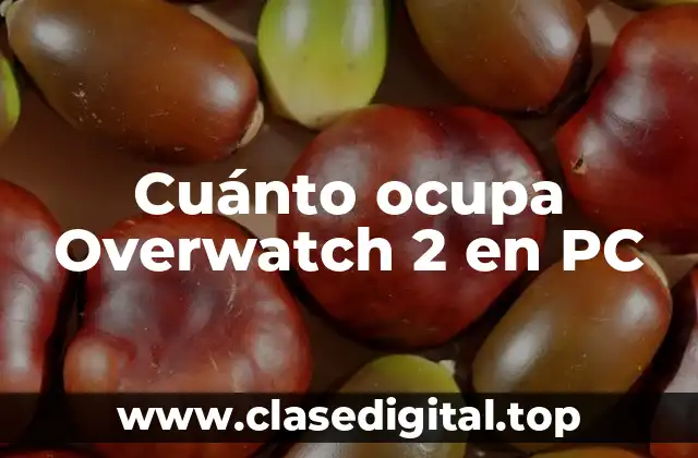 Cuánto ocupa Overwatch 2 en PC