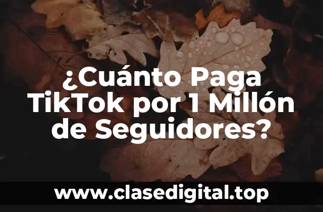 ¿Cuánto Paga TikTok por 1 Millón de Seguidores?