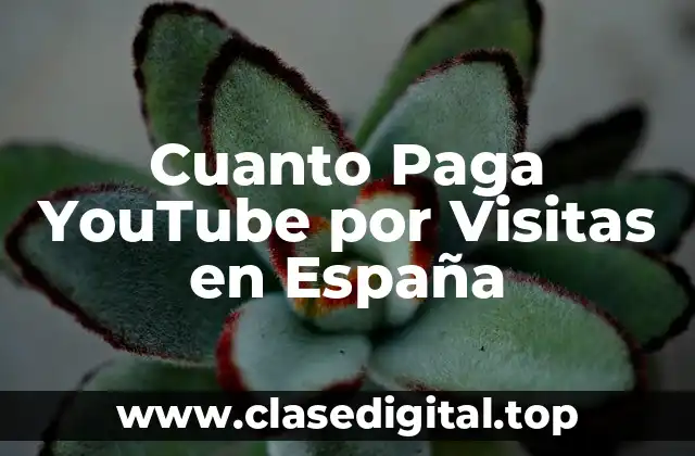 Cómo Funciona la Monetización de YouTube en España