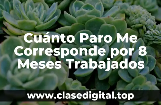 Cuánto Paro Me Corresponde por 8 Meses Trabajados