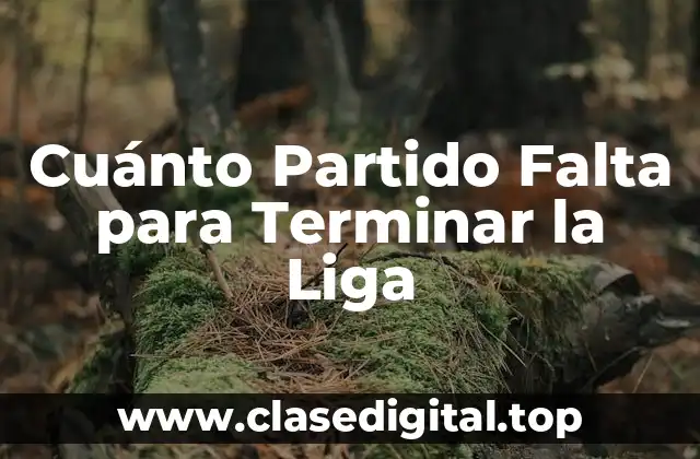 Cuánto Partido Falta para Terminar la Liga