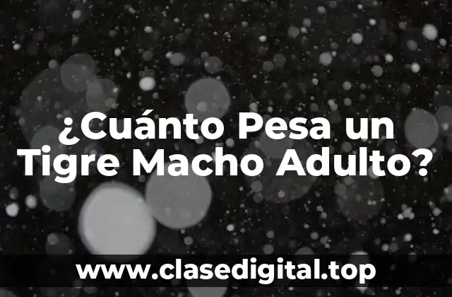¿Cuánto Pesa un Tigre Macho Adulto?