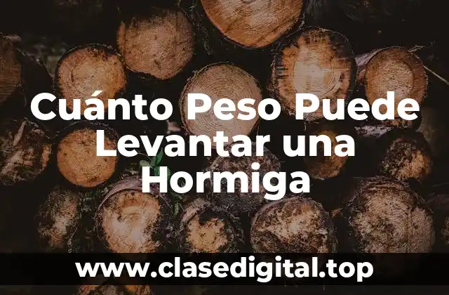 Cuánto Peso Puede Levantar una Hormiga