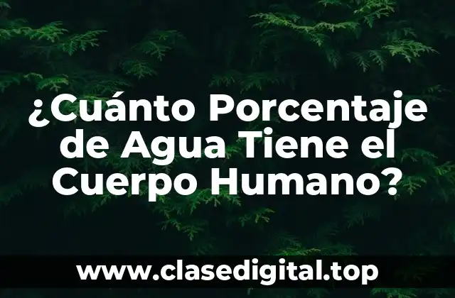 ¿Cuánto Porcentaje de Agua Tiene el Cuerpo Humano?