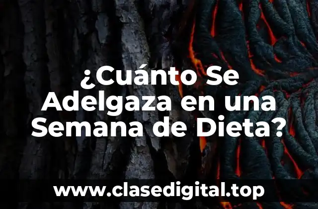 ¿Cuánto Se Adelgaza en una Semana de Dieta?