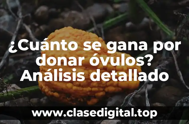 ¿Cuánto se gana por donar óvulos? Análisis detallado