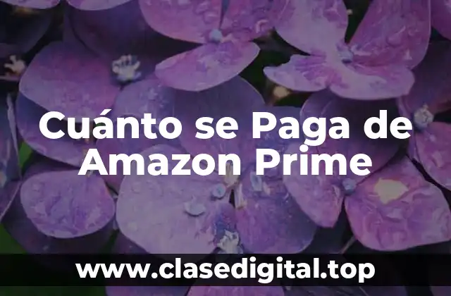 ¿Cuánto se Paga de Amazon Prime al Mes?