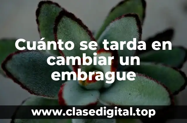 Cuánto se tarda en cambiar un embrague