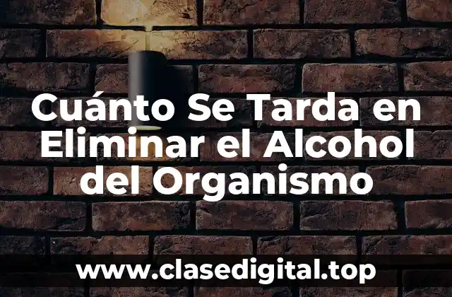 Cuánto Se Tarda en Eliminar el Alcohol del Organismo