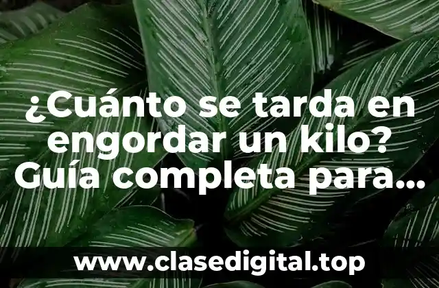 ¿Cuánto se tarda en engordar un kilo? Guía completa para entender el proceso de ganancia de peso