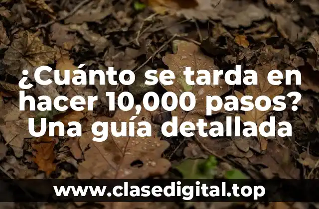 ¿Cuál es la velocidad promedio de caminata?