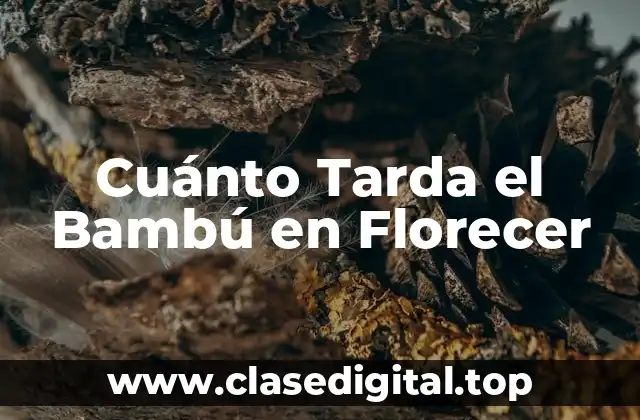 Cuánto Tarda el Bambú en Florecer