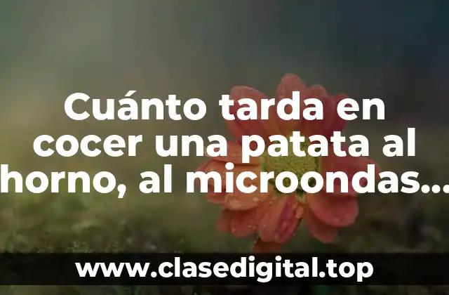Cuánto tarda en cocer una patata al horno