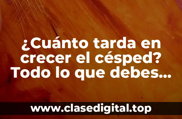 ¿Cuánto tarda en crecer el césped? Todo lo que debes saber sobre el crecimiento del césped