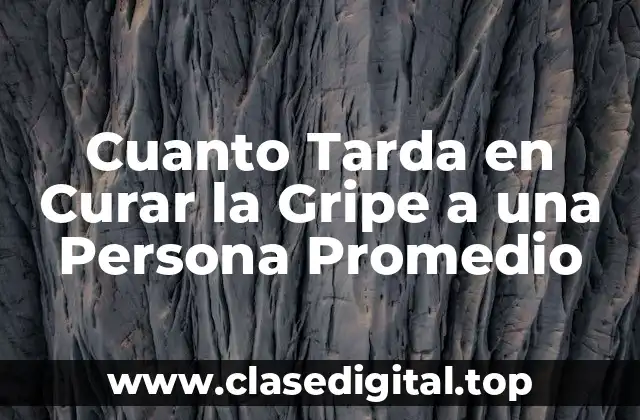 ¿Cuál es la Causa de la Gripe y Cómo se Propaga?