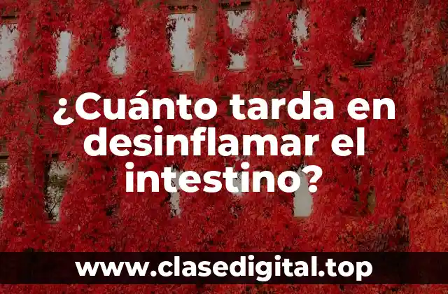 ¿Cuánto tarda en desinflamar el intestino?