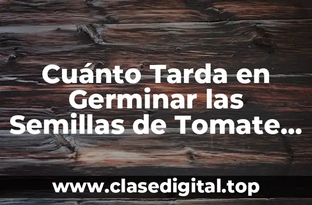 Cuánto Tarda en Germinar las Semillas de Tomate Exactamente