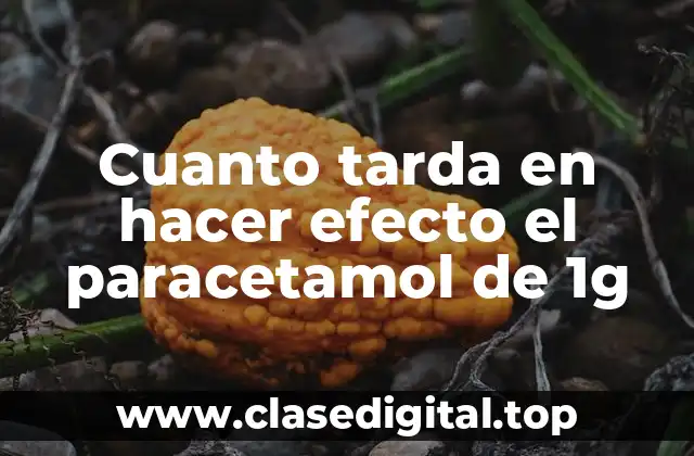 ¿Cómo funciona el paracetamol de 1g en el cuerpo?