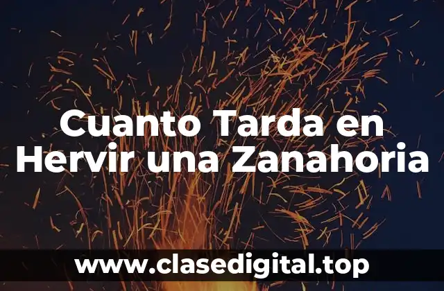 Cuanto Tarda en Hervir una Zanahoria