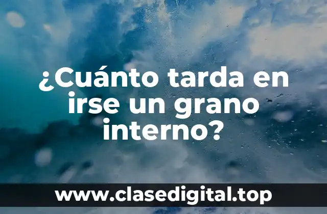 ¿Qué son los granos internos?