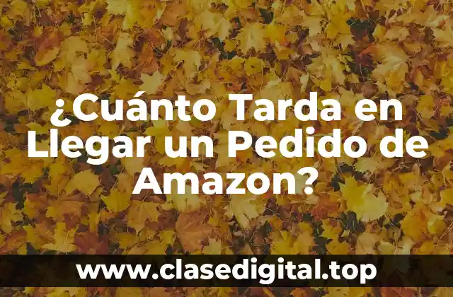 ¿Cuánto Tarda en Llegar un Pedido de Amazon?