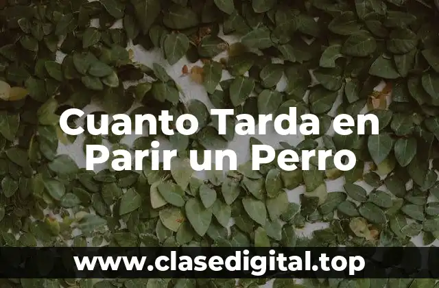 Cuanto Tarda en Parir un Perro