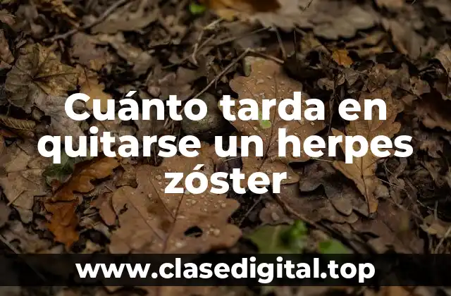 Cuánto tarda en quitarse un herpes zóster