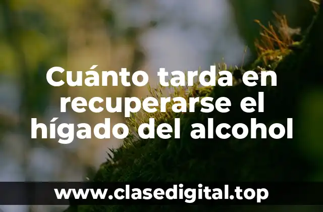 Cuánto tarda en recuperarse el hígado del alcohol