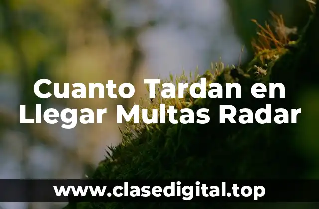 ¿Cómo Funcionan las Multas Radar?