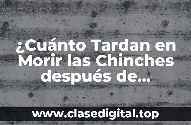 ¿Cuánto Tardan en Morir las Chinches después de Fumigar?