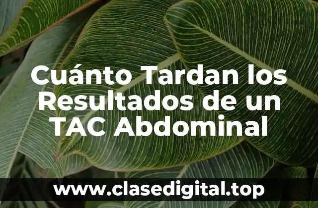 Cuánto Tardan los Resultados de un TAC Abdominal