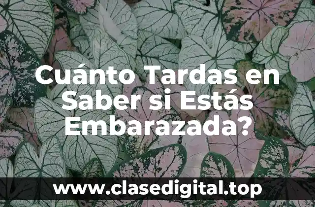 ¿Cuáles son los Síntomas Iniciales del Embarazo?