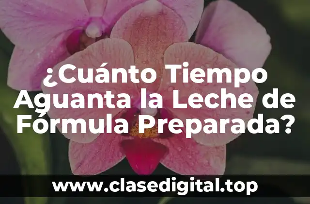 ¿Cuánto Tiempo Aguanta la Leche de Fórmula Preparada?